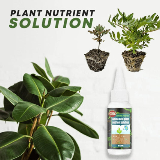 Magic Plant Nutrient Solution, Hydroponic Liquid Plant Fertilizer Nutrient Solution Seedling Recovery Root Growth (30ml)(Pack Of 1)